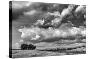 Looking Northwest-Trent Foltz-Stretched Canvas