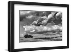 Looking Northwest-Trent Foltz-Framed Art Print