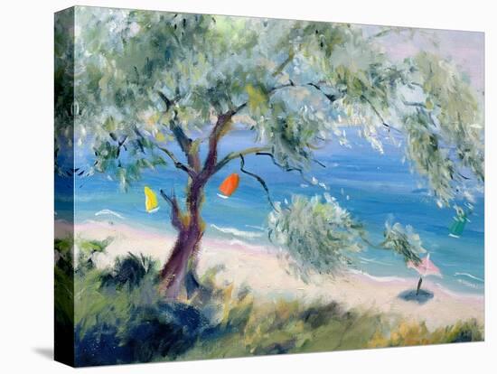 Looking on to a Beach-Anne Durham-Stretched Canvas