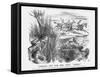 Looking Out for the Next Derby, 1863-John Tenniel-Framed Stretched Canvas