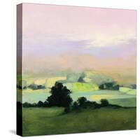 Looking Out II-Julia Purinton-Stretched Canvas