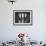 Looking Out into the Courtyard of Havana University-Joe Scherschel-Framed Photographic Print displayed on a wall