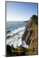 Looking Out on the Pacific Ocean Off Highway 101 Near Manzanita, Oregon-Justin Bailie-Mounted Photographic Print