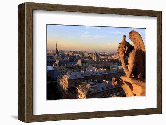 Looking Out over City, Paris, France from Roof, Notre Dame Cathedral with a Gargoyle in Foreground-Paul Dymond-Framed Photographic Print