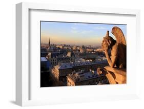 Looking Out over City, Paris, France from Roof, Notre Dame Cathedral with a Gargoyle in Foreground-Paul Dymond-Framed Photographic Print