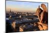 Looking Out over City, Paris, France from Roof, Notre Dame Cathedral with a Gargoyle in Foreground-Paul Dymond-Mounted Photographic Print