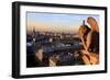 Looking Out over City, Paris, France from Roof, Notre Dame Cathedral with a Gargoyle in Foreground-Paul Dymond-Framed Photographic Print