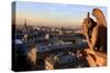 Looking Out over City, Paris, France from Roof, Notre Dame Cathedral with a Gargoyle in Foreground-Paul Dymond-Stretched Canvas