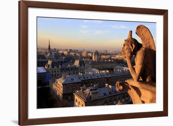 Looking Out over City, Paris, France from Roof, Notre Dame Cathedral with a Gargoyle in Foreground-Paul Dymond-Framed Photographic Print