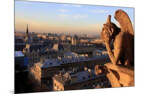 Looking Out over City, Paris, France from Roof, Notre Dame Cathedral with a Gargoyle in Foreground-Paul Dymond-Mounted Photographic Print