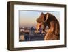 Looking Out over City, Paris, France from Roof, Notre Dame Cathedral with a Gargoyle in Foreground-Paul Dymond-Framed Photographic Print