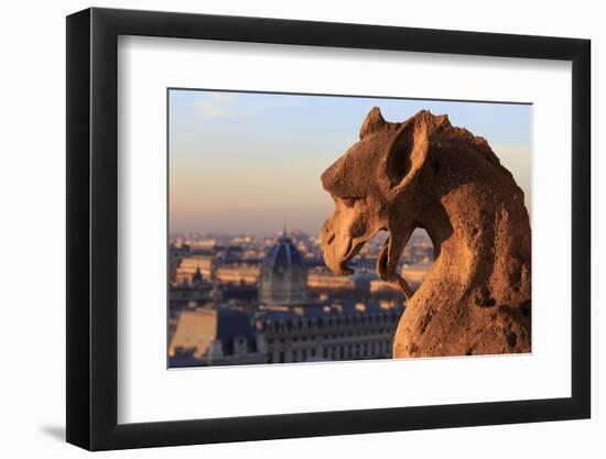 Looking Out over City, Paris, France from Roof, Notre Dame Cathedral with a Gargoyle in Foreground-Paul Dymond-Framed Photographic Print