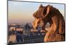 Looking Out over City, Paris, France from Roof, Notre Dame Cathedral with a Gargoyle in Foreground-Paul Dymond-Mounted Photographic Print