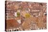 Looking Out over the Rooftops of Dijon, Burgundy, France, Europe-Julian Elliott-Stretched Canvas