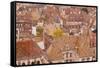Looking Out over the Rooftops of Dijon, Burgundy, France, Europe-Julian Elliott-Framed Stretched Canvas