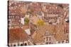 Looking Out over the Rooftops of Dijon, Burgundy, France, Europe-Julian Elliott-Stretched Canvas