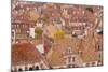 Looking Out over the Rooftops of Dijon, Burgundy, France, Europe-Julian Elliott-Mounted Photographic Print