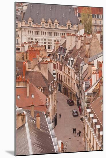 Looking Out over the Rooftops of Dijon, Burgundy, France, Europe-Julian Elliott-Mounted Photographic Print