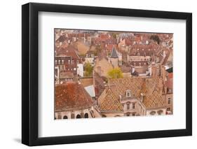 Looking Out over the Rooftops of Dijon, Burgundy, France, Europe-Julian Elliott-Framed Premium Photographic Print