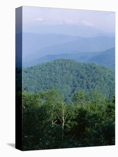 Looking Over the Appalachian Mountains from the Blue Ridge Parkway in Cherokee Indian Reservation-Robert Francis-Stretched Canvas