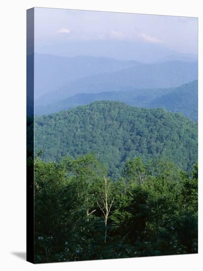 Looking Over the Appalachian Mountains from the Blue Ridge Parkway in Cherokee Indian Reservation-Robert Francis-Stretched Canvas