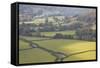 Looking over the Patchwork Fields of Eskdale in the Lake District Nat'l Park, Cumbria, England, UK-Julian Elliott-Framed Stretched Canvas