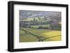 Looking over the Patchwork Fields of Eskdale in the Lake District Nat'l Park, Cumbria, England, UK-Julian Elliott-Framed Photographic Print