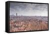 Looking over the Rooftops of the City of Lyon, Rhone-Alpes, France, Europe-Julian Elliott-Framed Stretched Canvas