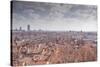 Looking over the Rooftops of the City of Lyon, Rhone-Alpes, France, Europe-Julian Elliott-Stretched Canvas