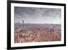 Looking over the Rooftops of the City of Lyon, Rhone-Alpes, France, Europe-Julian Elliott-Framed Photographic Print