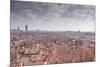 Looking over the Rooftops of the City of Lyon, Rhone-Alpes, France, Europe-Julian Elliott-Mounted Photographic Print