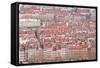 Looking over the Rooftops of the City of Lyon, Rhone-Alpes, France, Europe-Julian Elliott-Framed Stretched Canvas