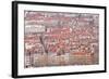 Looking over the Rooftops of the City of Lyon, Rhone-Alpes, France, Europe-Julian Elliott-Framed Photographic Print