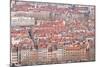 Looking over the Rooftops of the City of Lyon, Rhone-Alpes, France, Europe-Julian Elliott-Mounted Photographic Print