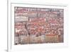 Looking over the Rooftops of the City of Lyon, Rhone-Alpes, France, Europe-Julian Elliott-Framed Photographic Print