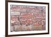 Looking over the Rooftops of the City of Lyon, Rhone-Alpes, France, Europe-Julian Elliott-Framed Photographic Print