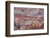 Looking over the Rooftops of the City of Lyon, Rhone-Alpes, France, Europe-Julian Elliott-Framed Photographic Print