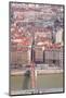 Looking over the Rooftops of the City of Lyon, Rhone-Alpes, France, Europe-Julian Elliott-Mounted Photographic Print