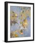 Looking Skyward I-Lanie Loreth-Framed Art Print