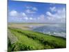 Looking South Along Saunton Sands and Braunton Burrows Near Barnstaple, North Devon, England, UK-Robert Francis-Mounted Photographic Print