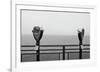 Looking South (b/w)-Erin Clark-Framed Art Print