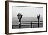 Looking South-Erin Clark-Framed Giclee Print