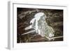 Looking Through A Hole In A Fallen Tree Trunk Out Towards Large Trees In Sequoia NP, CA-Michael Hanson-Framed Photographic Print