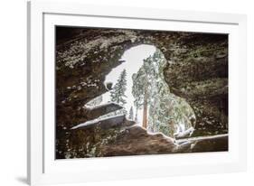 Looking Through A Hole In A Fallen Tree Trunk Out Towards Large Trees In Sequoia NP, CA-Michael Hanson-Framed Photographic Print