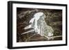 Looking Through A Hole In A Fallen Tree Trunk Out Towards Large Trees In Sequoia NP, CA-Michael Hanson-Framed Photographic Print