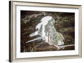 Looking Through A Hole In A Fallen Tree Trunk Out Towards Large Trees In Sequoia NP, CA-Michael Hanson-Framed Photographic Print