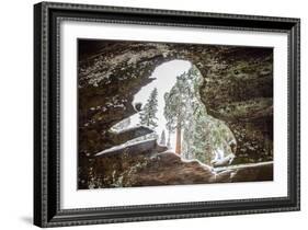 Looking Through A Hole In A Fallen Tree Trunk Out Towards Large Trees In Sequoia NP, CA-Michael Hanson-Framed Photographic Print