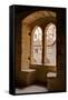 Looking Through a Window in the Palais De Papes-Julian Elliott-Framed Stretched Canvas