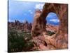 Looking Through an Arch in Arches National Monument, Utah, Arches National Park, USA-Mark Newman-Stretched Canvas