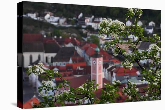 Looking Through the Bushes to Eichstatt-Felix Strohbach-Stretched Canvas